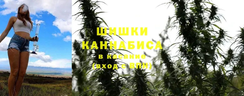 Канабис THC 21%  магазин продажи наркотиков  Камень-на-Оби 